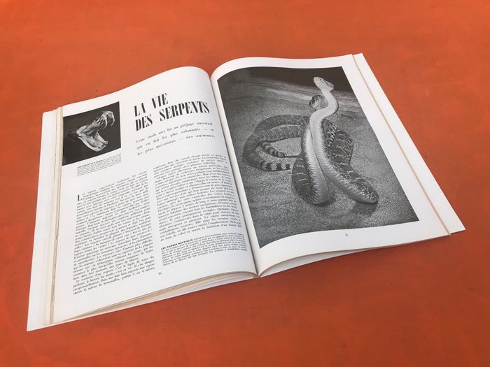 Réalités L' Art au Salon des Arts Ménagers Mars 1953 - photo numéro 6