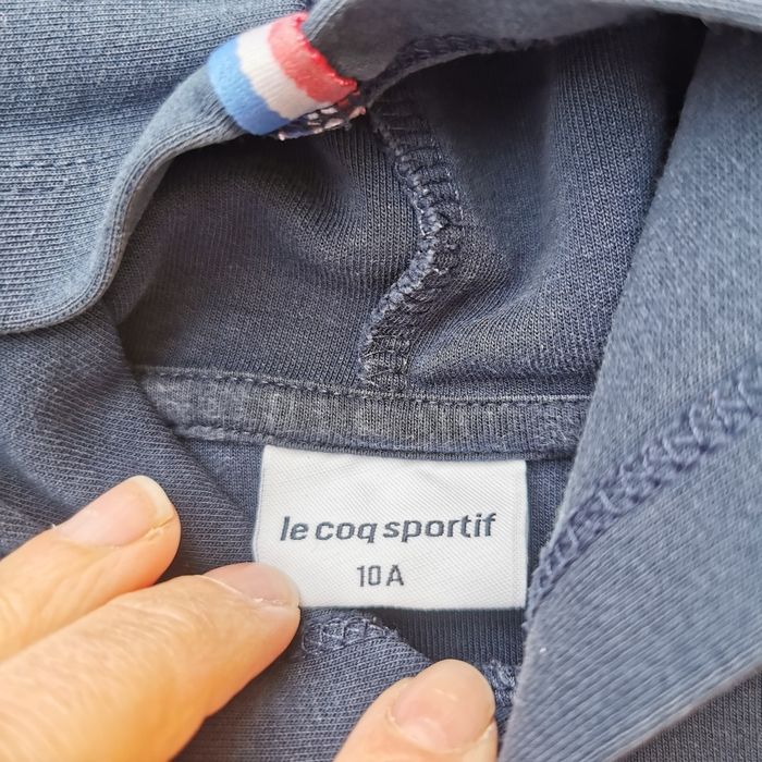 Pull sweat à capuche 10 ans garçon le coq sportif - photo numéro 3