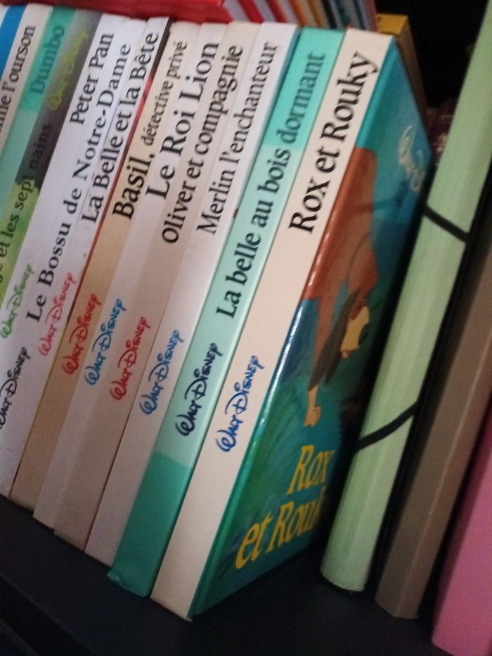 Livres 📚 Walt Disney - photo numéro 3