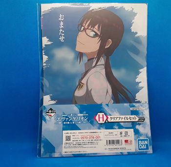 2 clear files mary evangelion