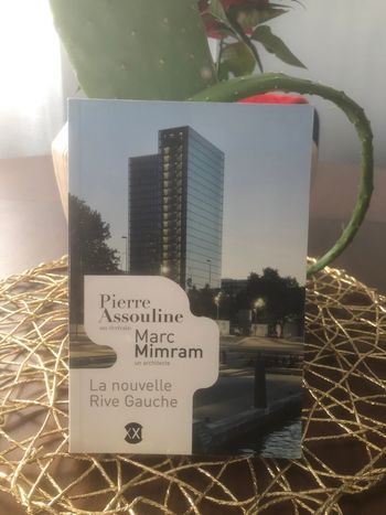 La nouvelle rive gauche - Pierre Assouline