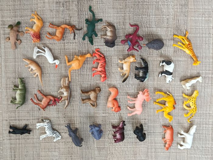 Lot animaux animal kingdom encyclopedia - photo numéro 2