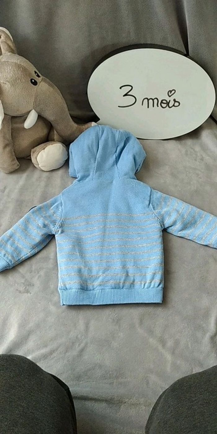 Gilet zippé bleu rayé gris fourré chaud Garçon 3 mois chien Londres Mes petits cailloux - photo numéro 13