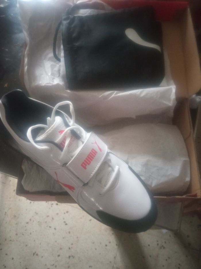 Basket - photo numéro 2