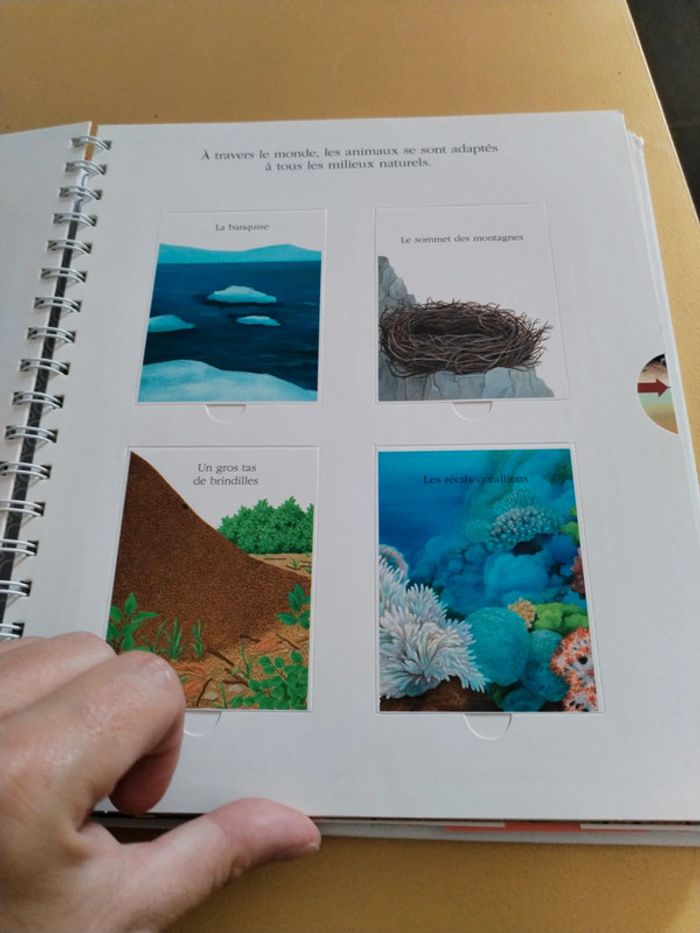 Explore les animaux 78 - photo numéro 11