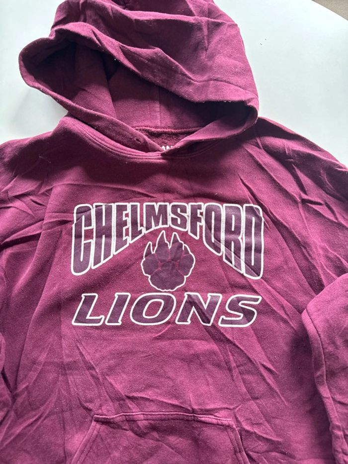 Sweat à capuche bordeaux Crawford Lions– Gildan DryBlend – Taille M - photo numéro 2