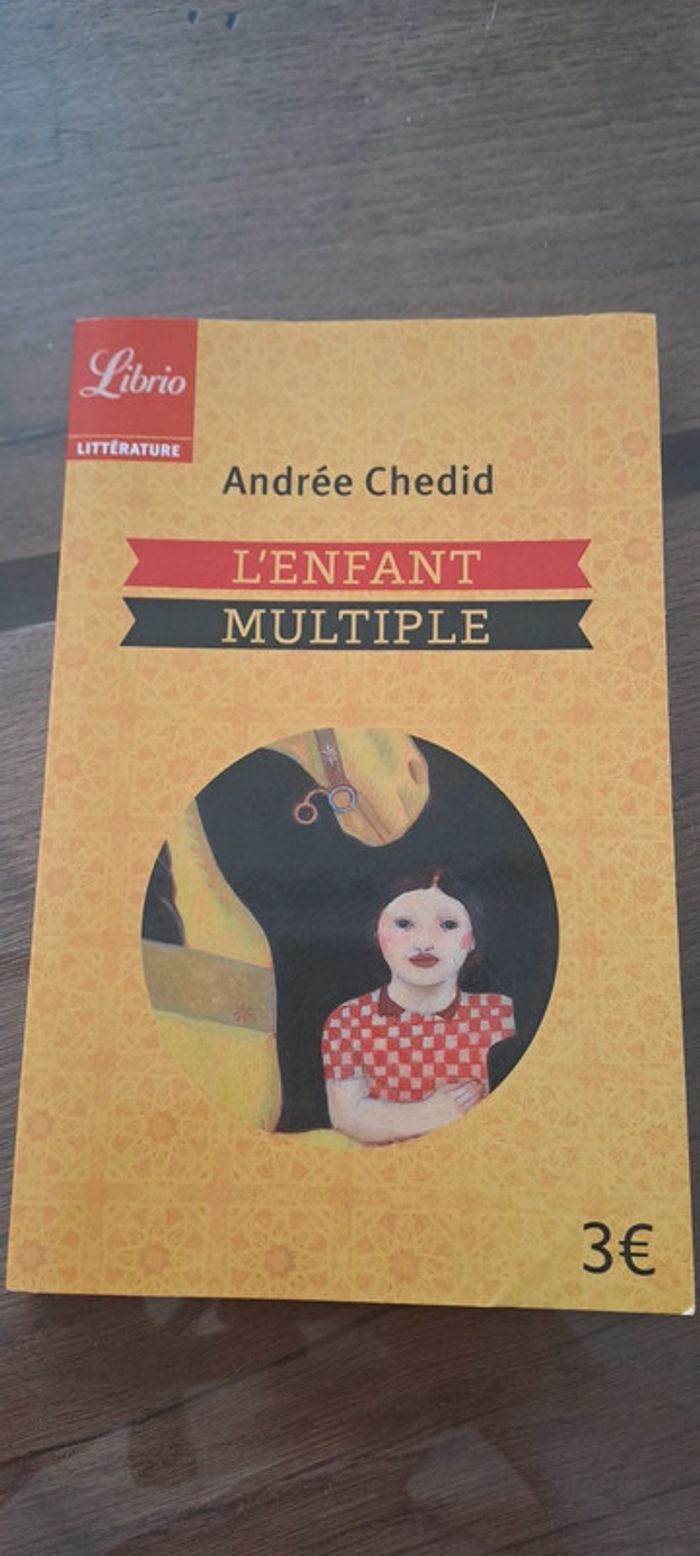 (Réduction) Livre L'enfant multiple