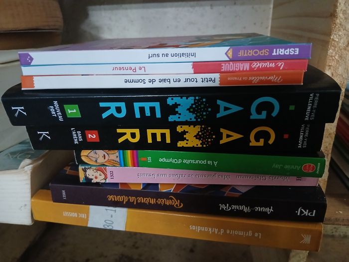 Lot livre enfants (2)