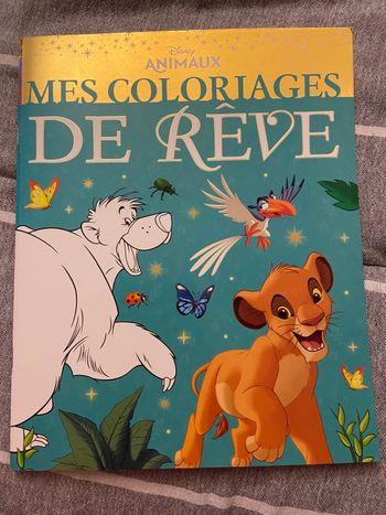 Mes coloriages de rêve Disney 