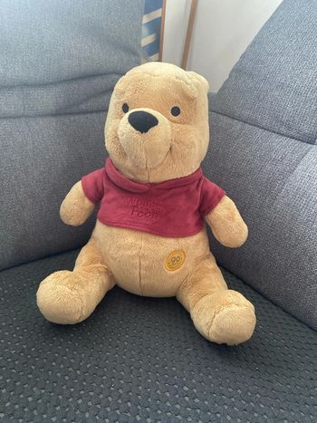Peluche Winnie