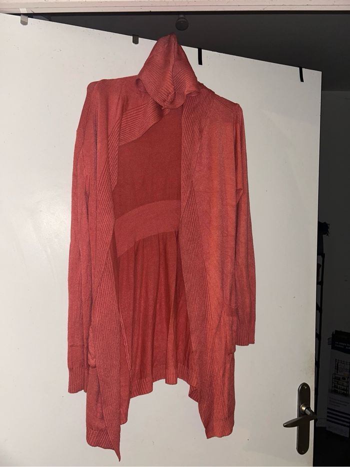 Gilet à capuche