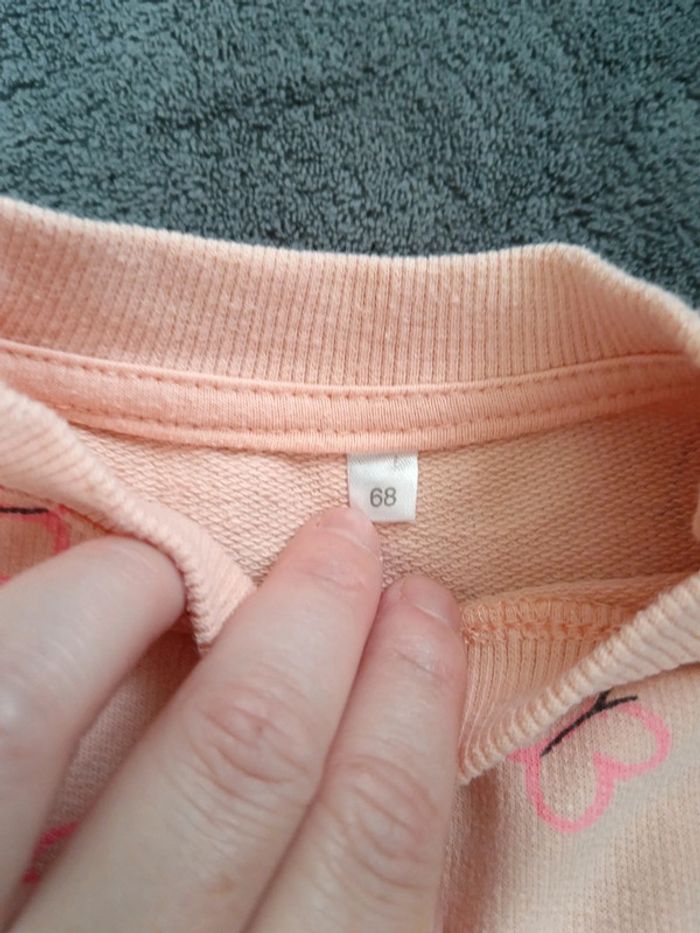 Pulls zeeman papillon - photo numéro 4