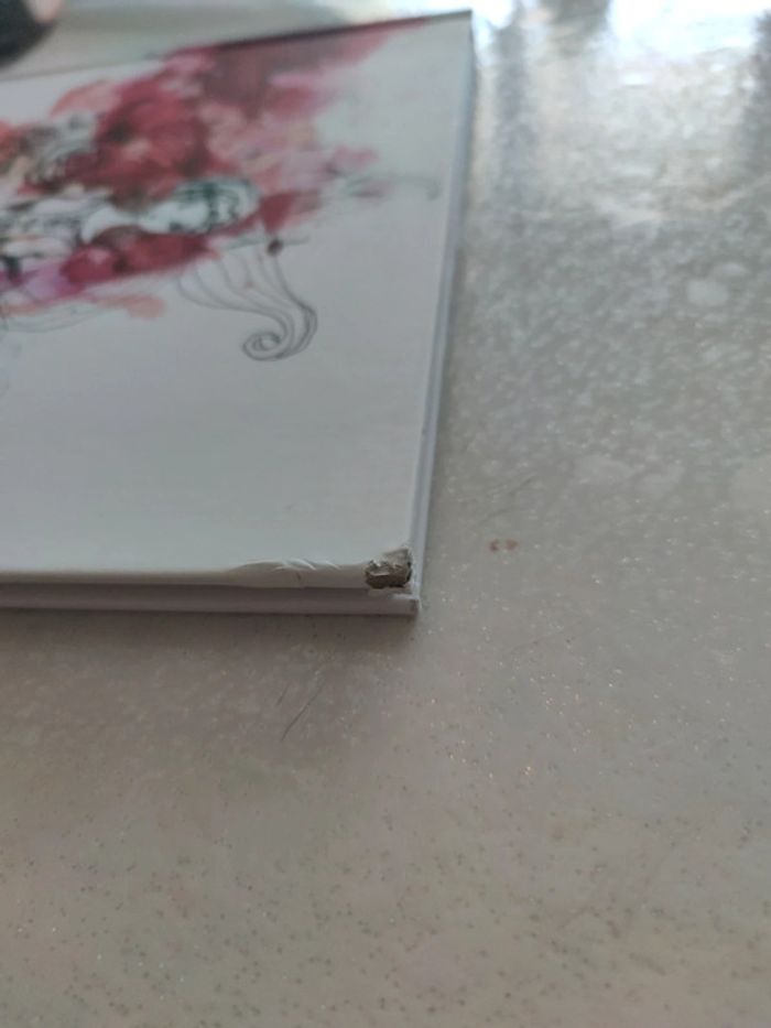 Album histoires vagabondes - photo numéro 7