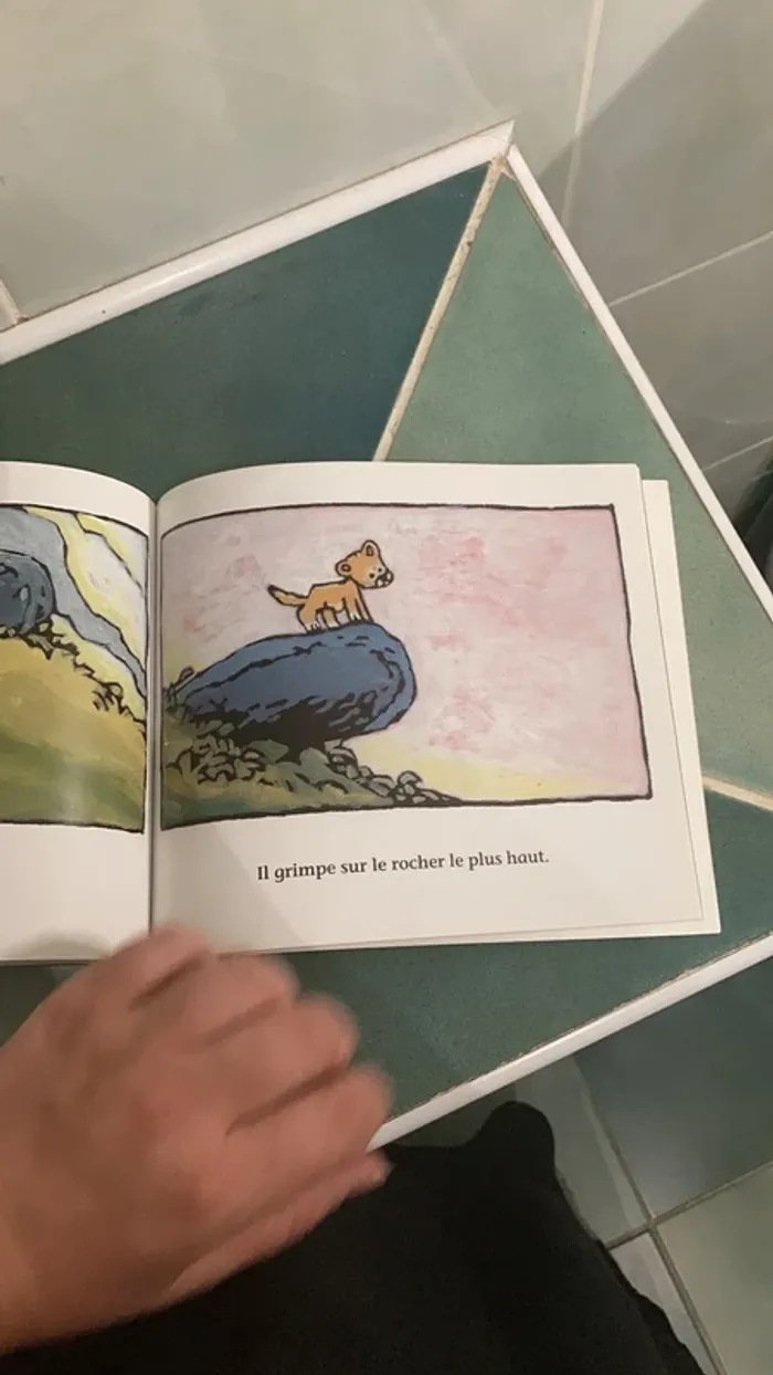 Livre enfant - photo numéro 3