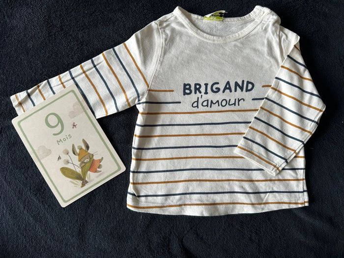 Lot 2 pulls / t-shirt manches longues 9 mois TAO - photo numéro 2