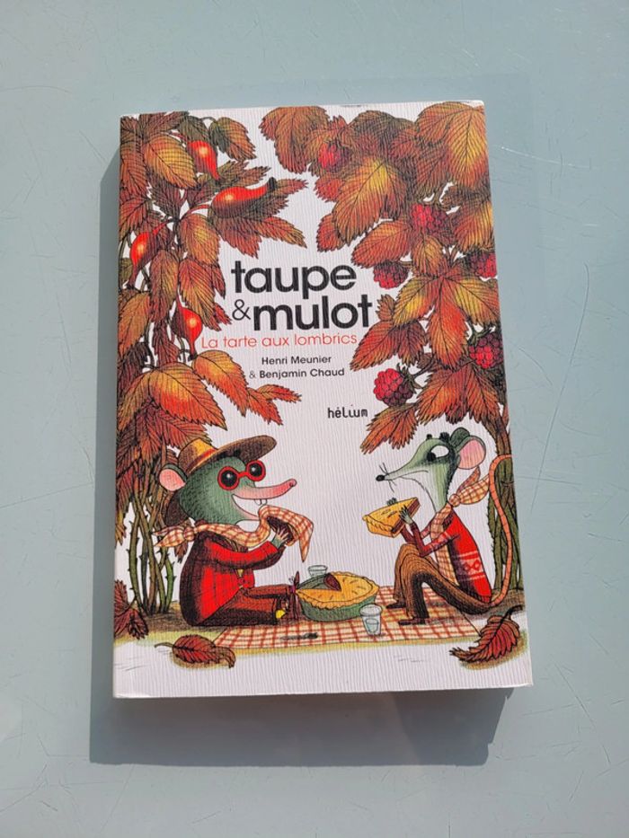 Beau livre Taupe & Mulot, la tarte aux lombrics 🪱 - photo numéro 2