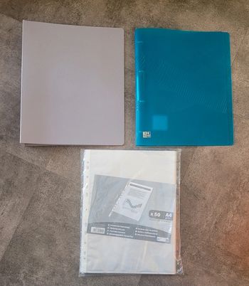 2 grands classeurs + pochettes transparentes