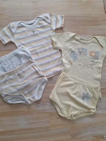 Lot Bodies 18 mois