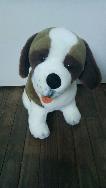Peluche Saint-Bernard