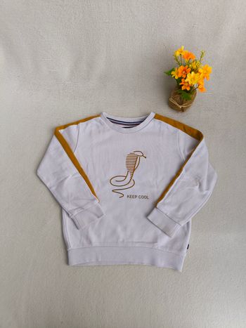 Sweat garçon Okaïdi 3 ans