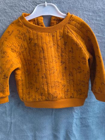 Pull simba Disney 18 mois
