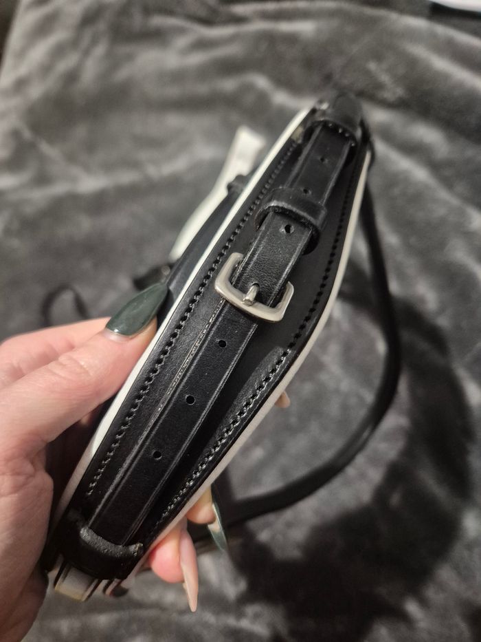 Double Bride dressage kavalkade - photo numéro 4