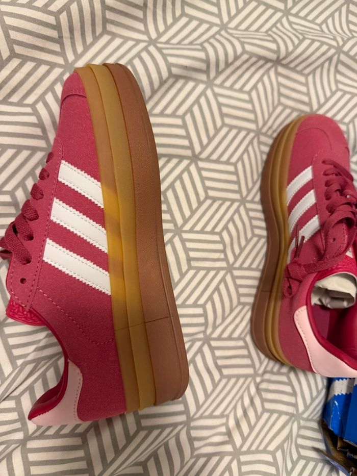 Gazelle - photo numéro 5