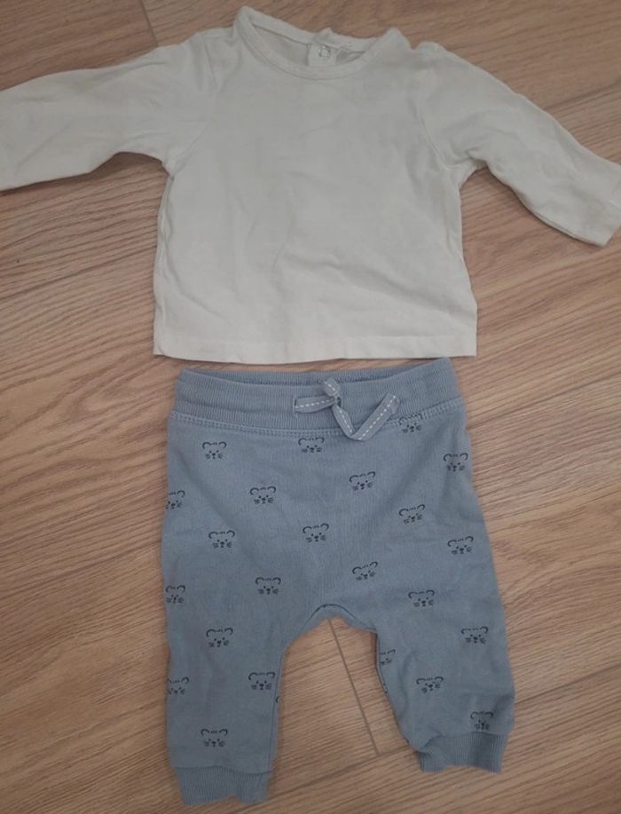 Ensemble petit chat