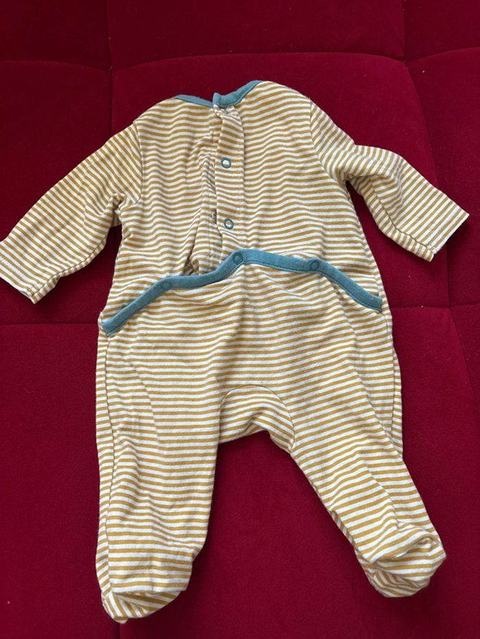 Pyjama jungle - photo numéro 4