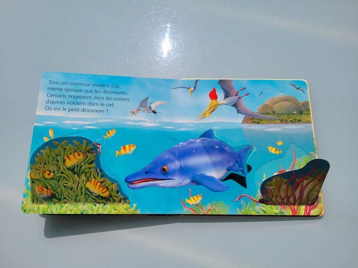 Livre animé de rabats : Où est caché ? Les dinosaures, usborne (48) - photo numéro 7