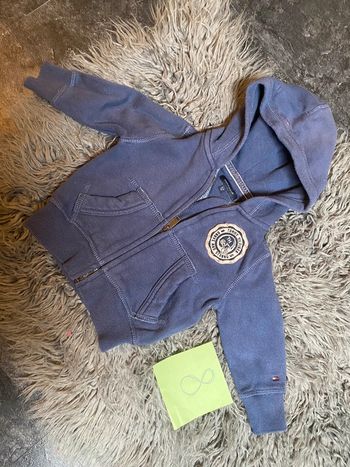 Tommy hilfiger