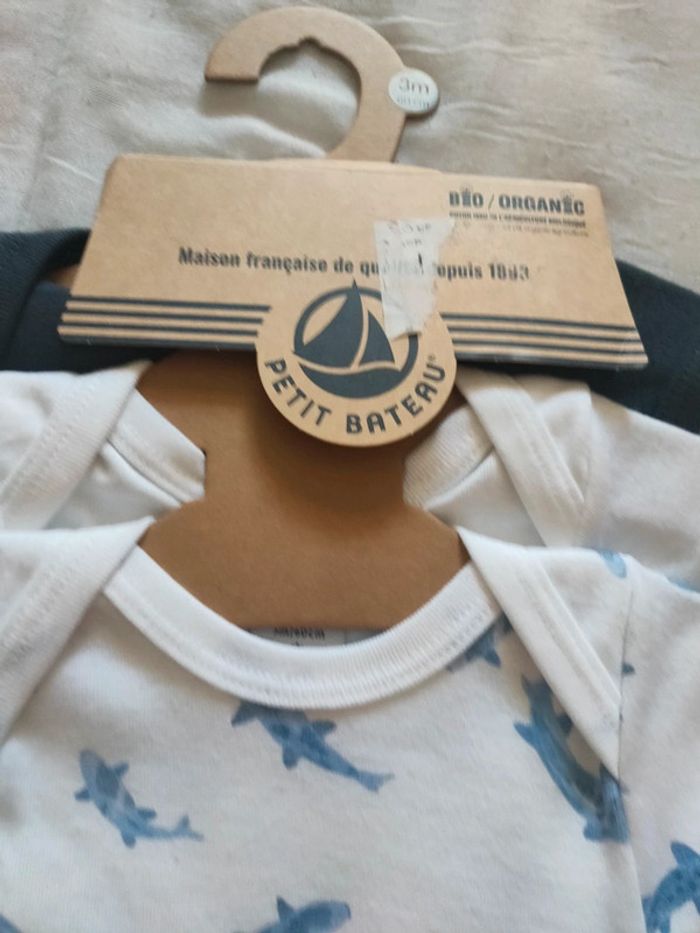 Lot de 3 body manches courtes petit bateau bio 3 mois - photo numéro 2