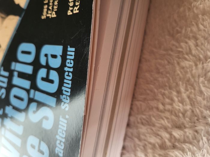 Livre Tout sur Vittorio De Sica - Gremese - photo numéro 8