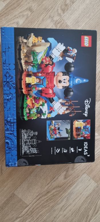 Lego magic of disney n ° 21352