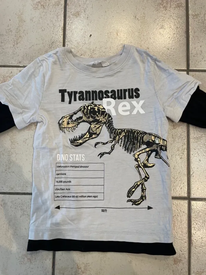 Teeshirt manches longues Dinosaure 110/116cm H&M - photo numéro 2