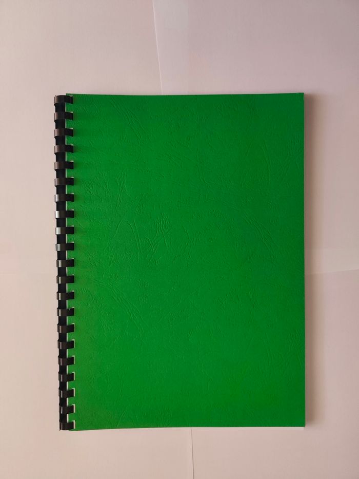 Registre~ Répertoire Pal/Timbres/Sachets/Relief DIDDL - photo numéro 7