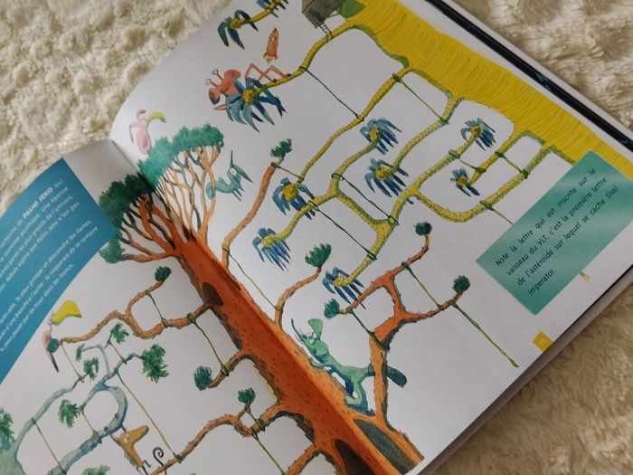 Livre - photo numéro 3