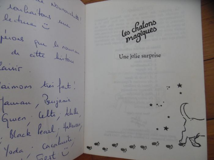 Les chatons magiques - photo numéro 5