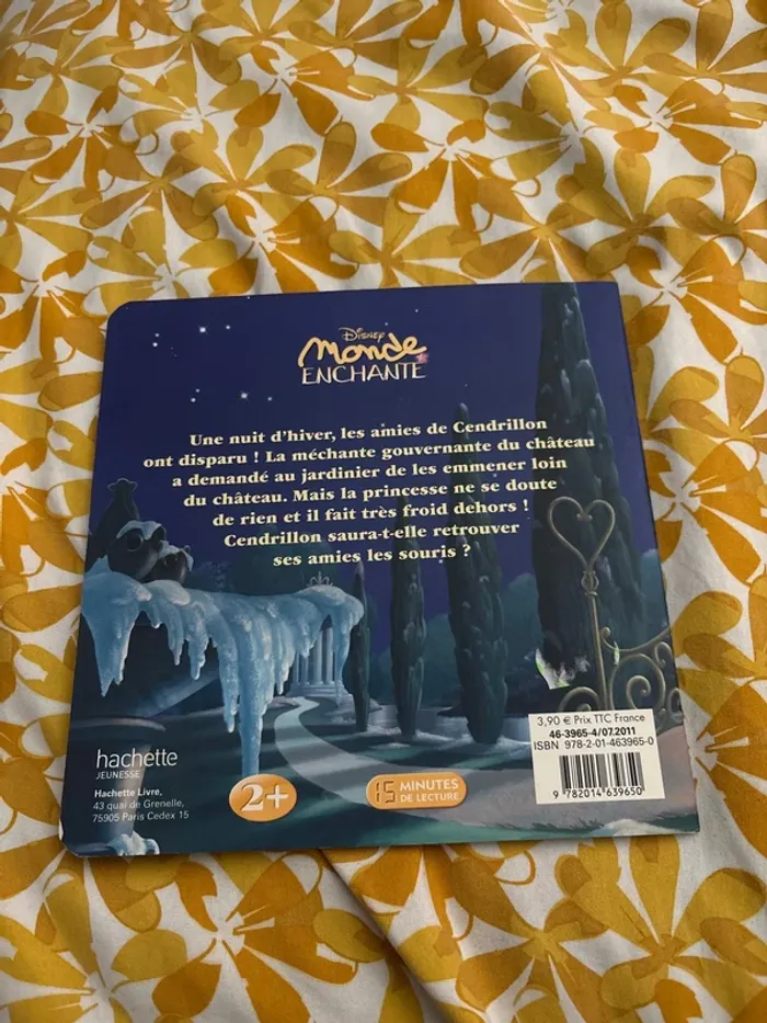 Cendrillon et ses amis les souris - photo numéro 4