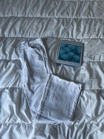Jean flare