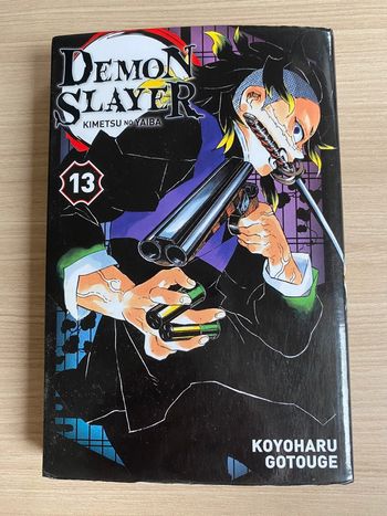 Demon Slayer tome 13