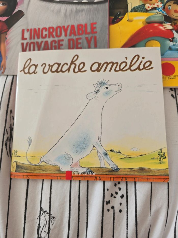 Lot livres - photo numéro 2
