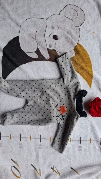 Pyjama mes petits cailloux naissance 50 cm