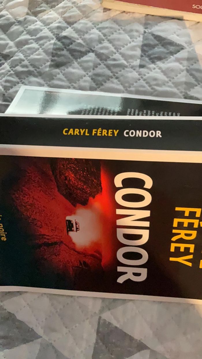 #Condor Caryl Férey - photo numéro 5