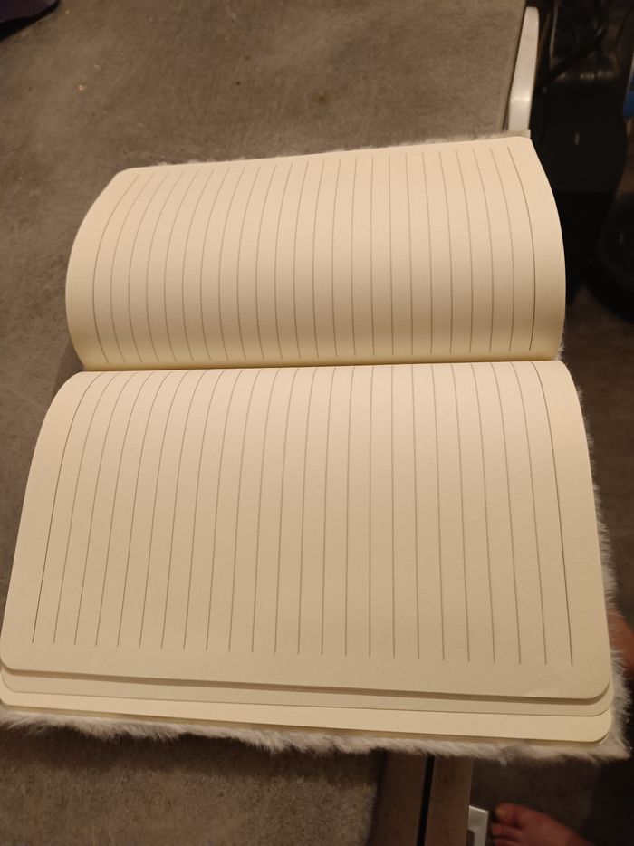 Cahier - photo numéro 3