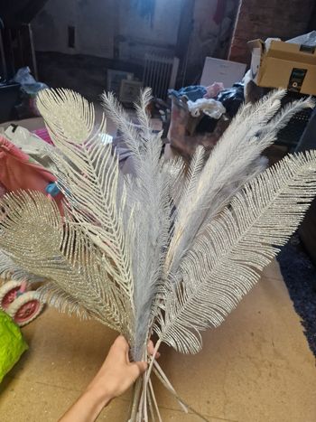 Fleur de pampas