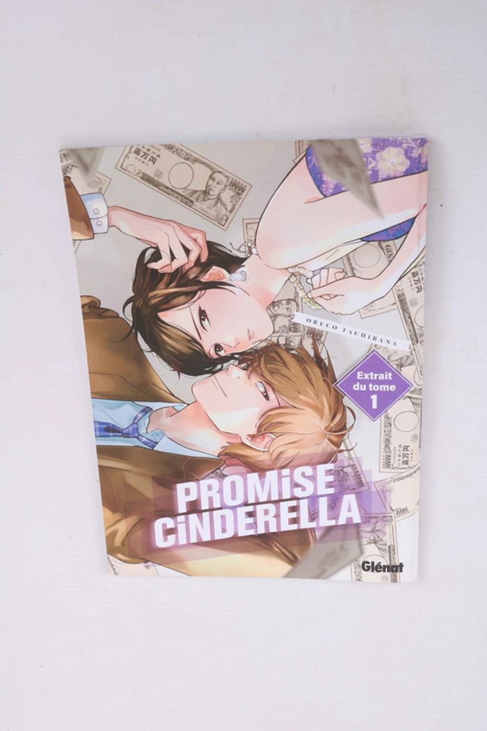 Promise Cinderella & Les Noces des Lucioles – Extrait - photo numéro 2