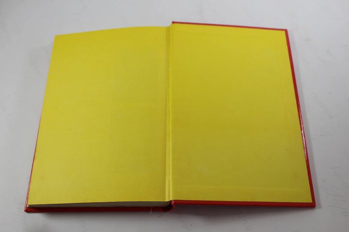 Walt Disney Castors Juniors Le manuel de Géo Trouvetou 1974 - photo numéro 9