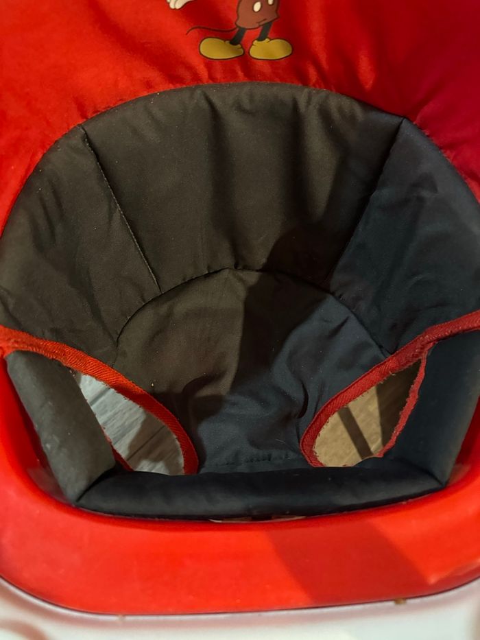 Trotteur - photo numéro 6