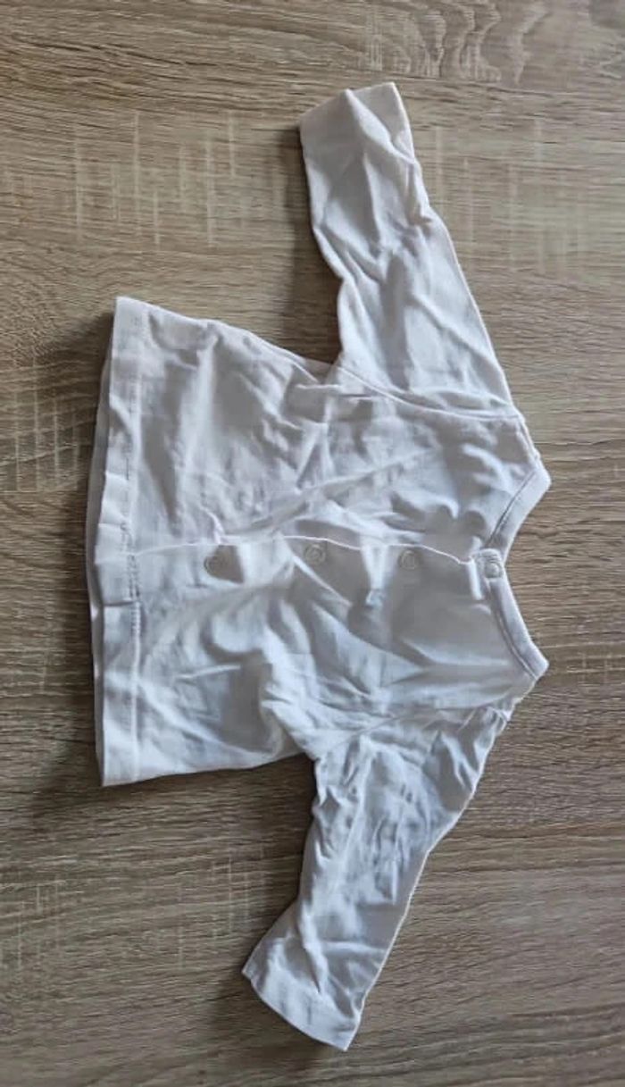 Tshirt manche longue dinosaure - photo numéro 2